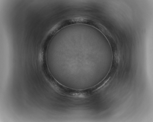 X0000113110735200908281408