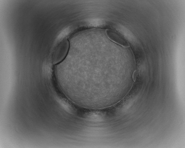 X0000113110736200908281408