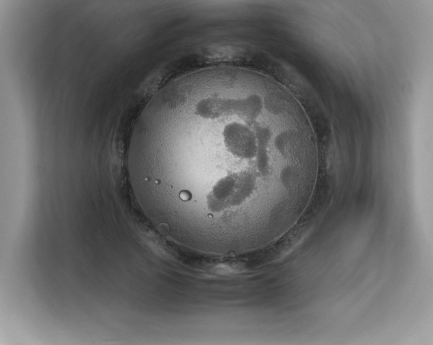 X0000113110737200908281408