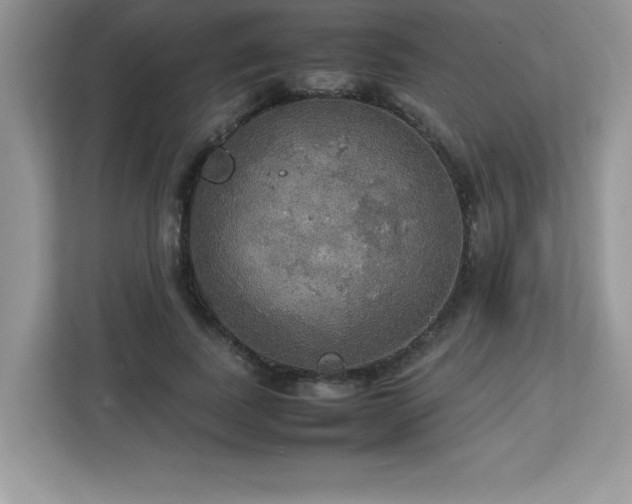 X0000113110739200908281408