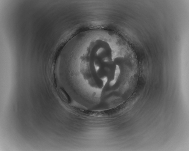 X0000113110742200908281408