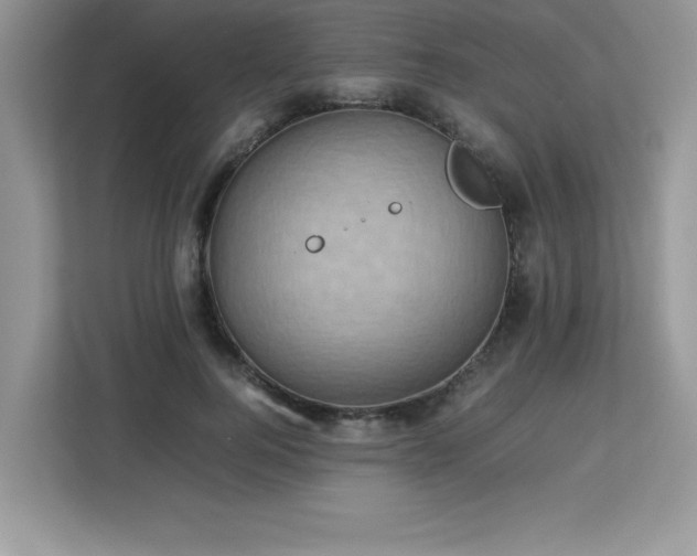 X0000113110744200908281408