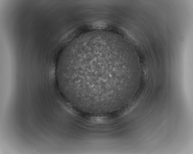 X0000113110745200908281408
