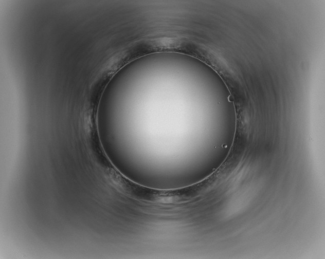 X0000113110746200908281408