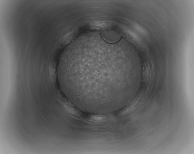 X0000113110749200908281408