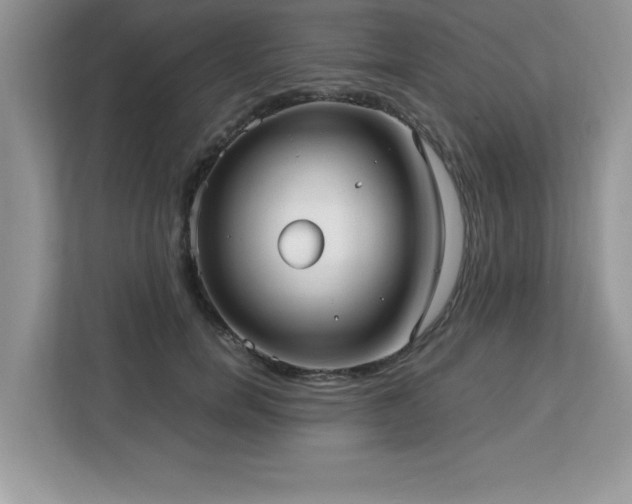 X0000113110750200908281408