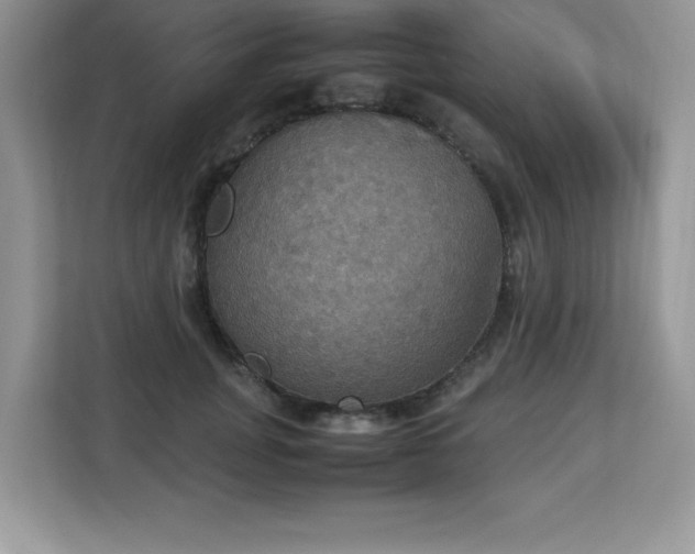 X0000113110751200908281408