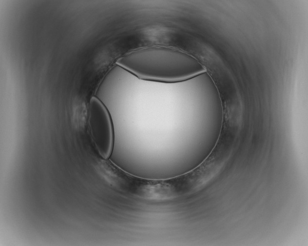 X0000113110752200908281408