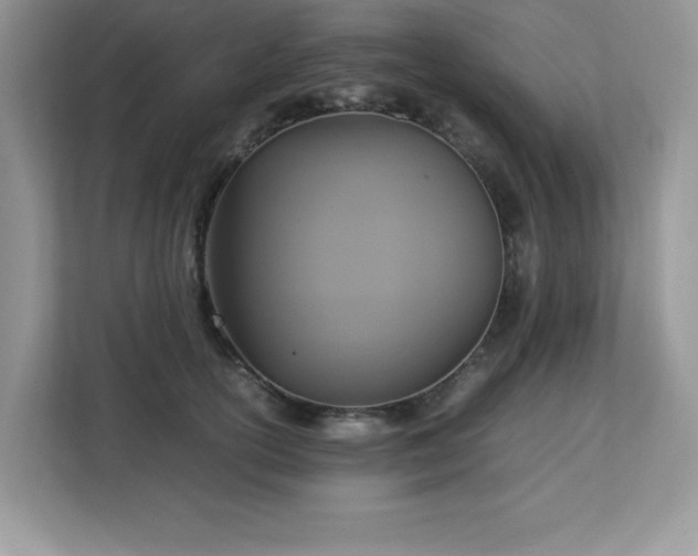X0000113110754200908281408