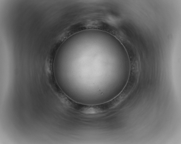X0000113110755200908281408