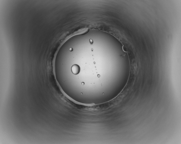X0000113110756200908281408