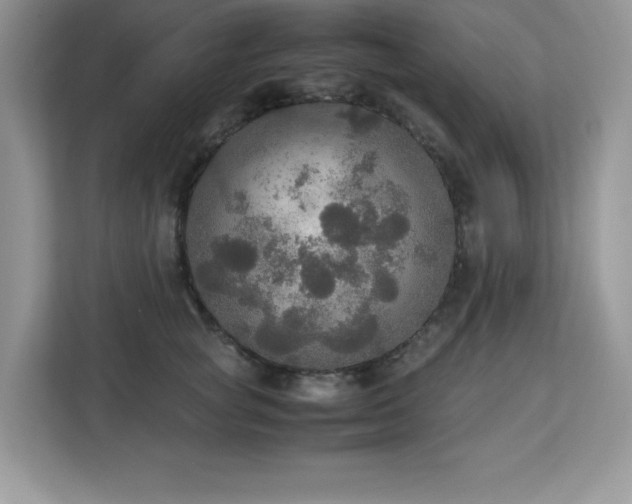 X0000113110757200908281408
