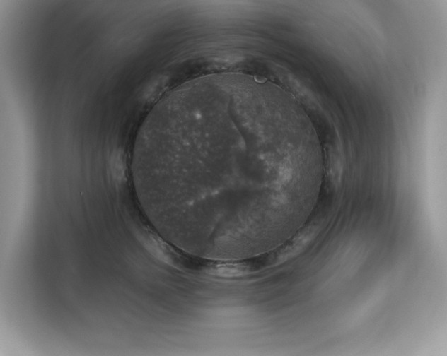 X0000113110758200908281408