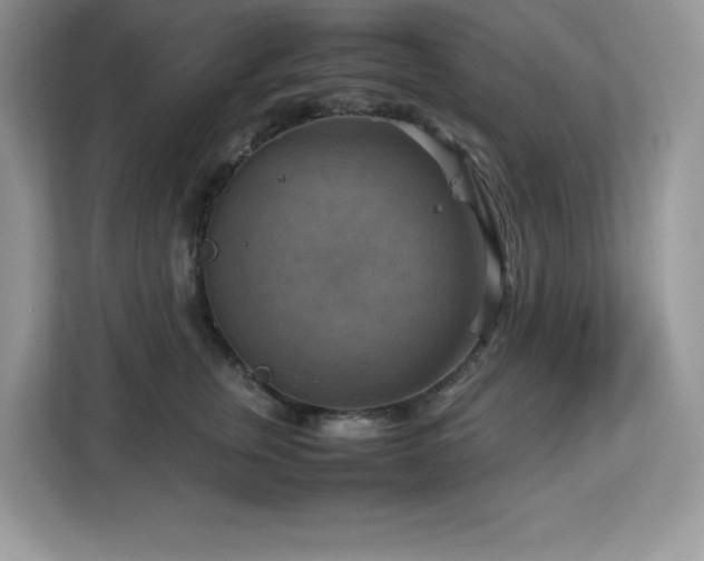 X0000113110759200908281408