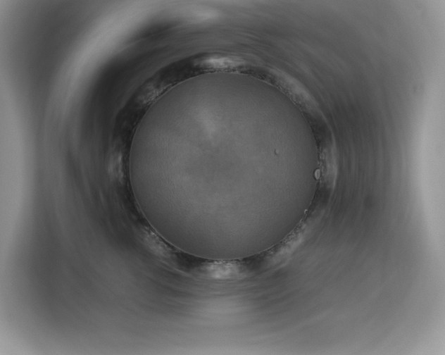 X0000113110762200908281408