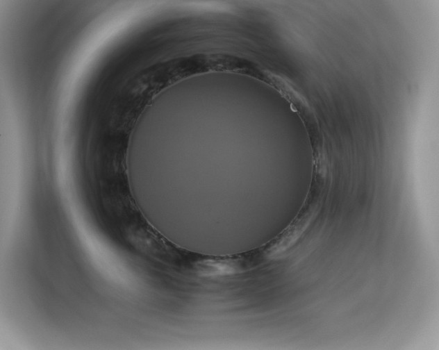 X0000113110763200908281408
