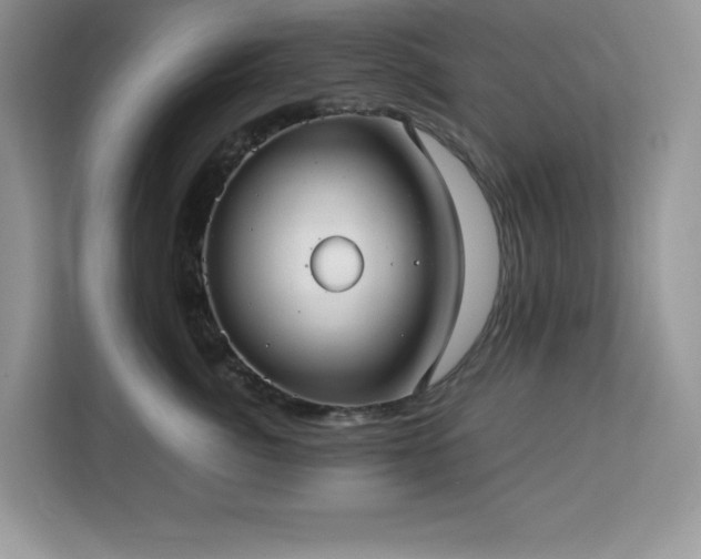 X0000113110764200908281408