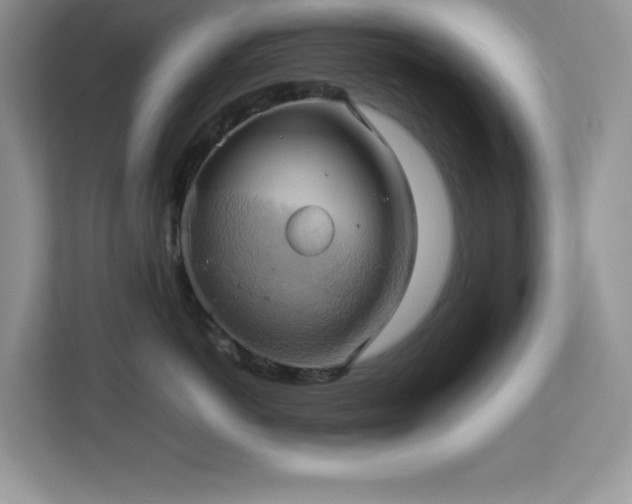 X0000113110766200908281409