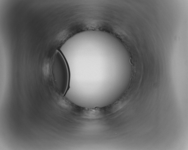 X0000113110768200908281409