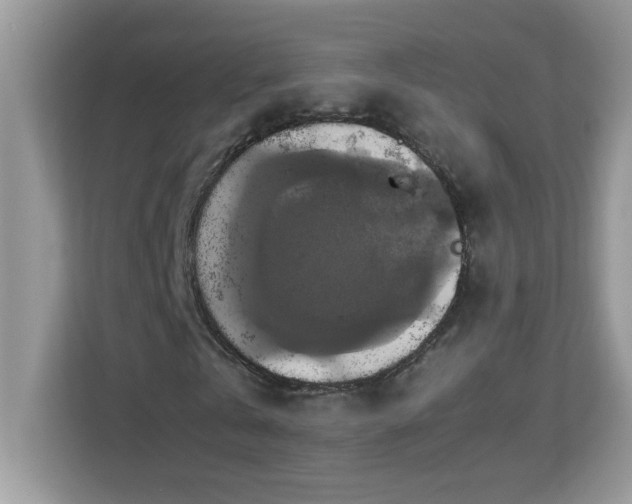 X0000113110769200908281408