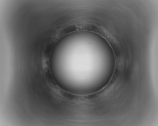 X0000113110770200908281408