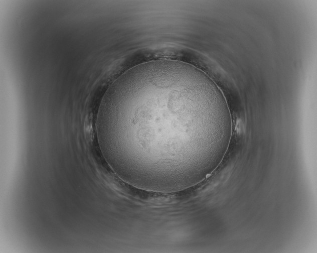 X0000113110771200908281408