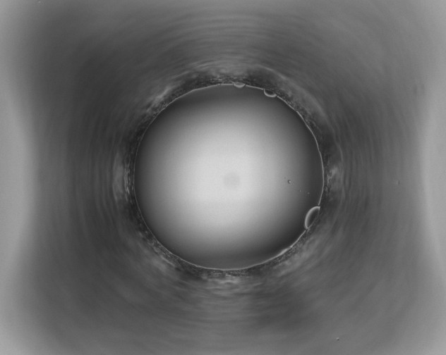 X0000113110772200908281408