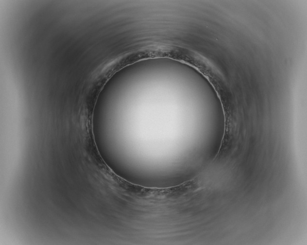 X0000113110773200908281408