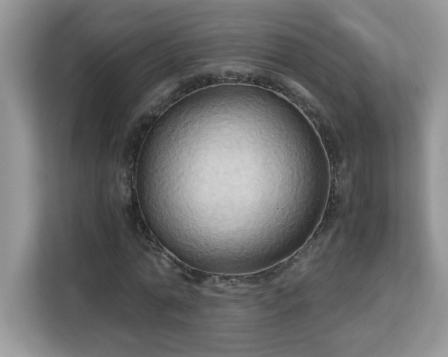 X0000113110774200908281408
