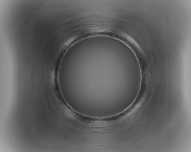 X0000113110777200908281408
