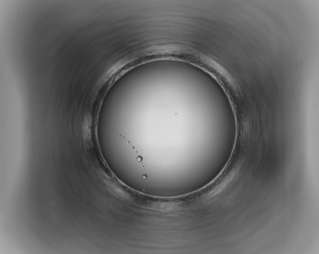 X0000113110778200908281408