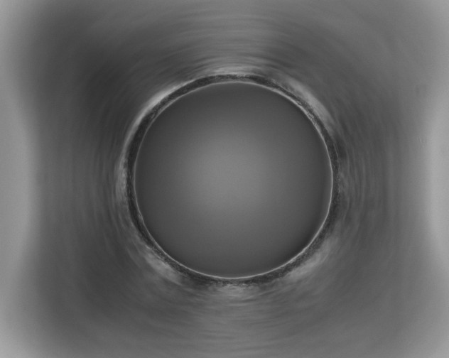 X0000113110779200908281408