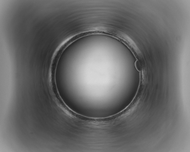 X0000113110780200908281408