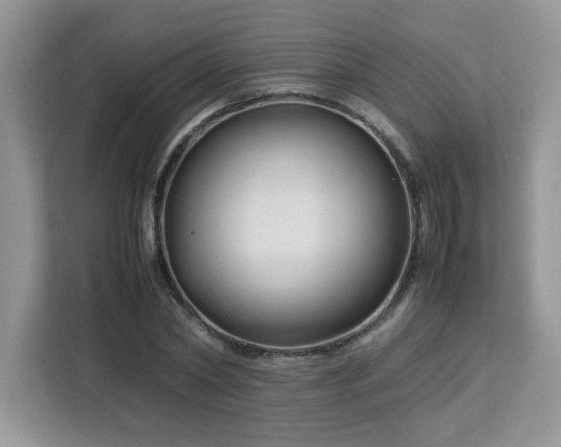 X0000113110782200908281408