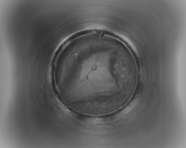 X0000113110783200908281408