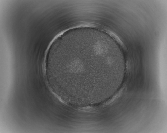 X0000113110784200908281408