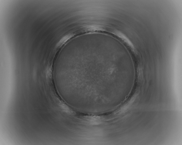 X0000113110785200908281408