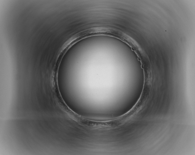 X0000113110786200908281408
