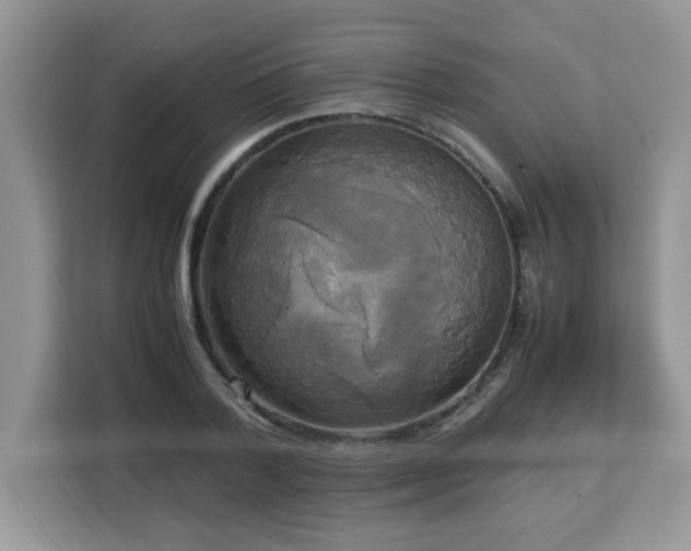 X0000113110788200908281408
