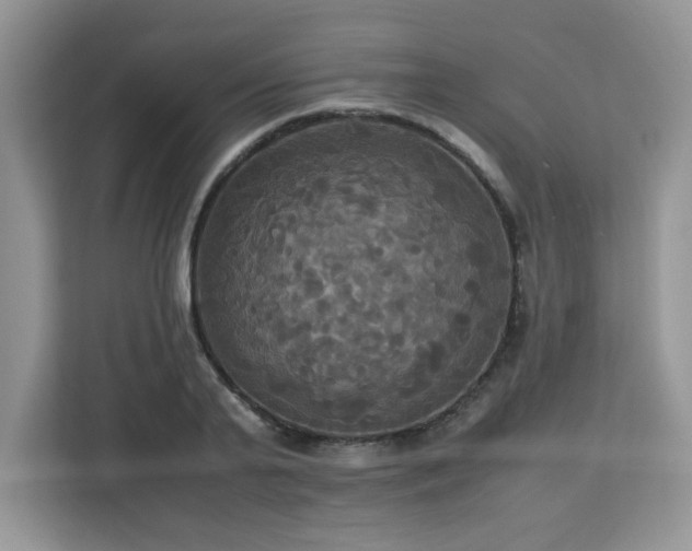 X0000113110791200908281408