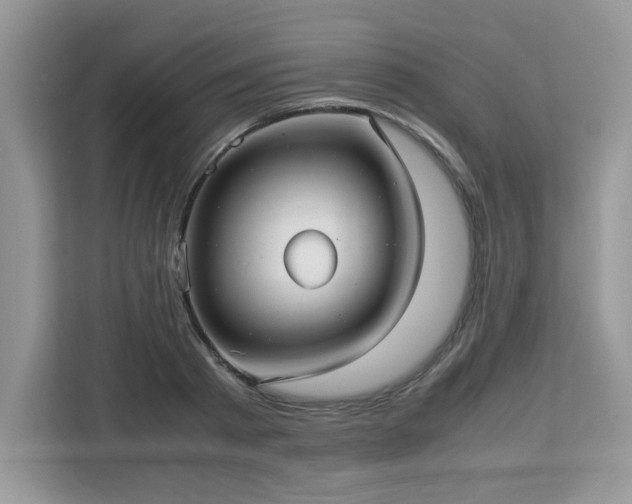 X0000113110793200908281408