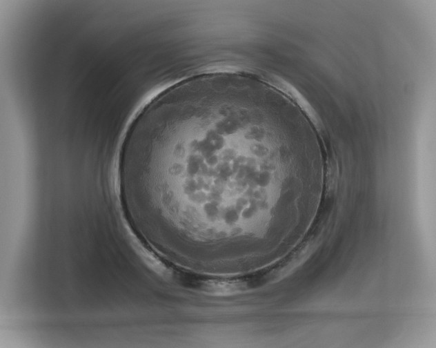 X0000113110795200908281408