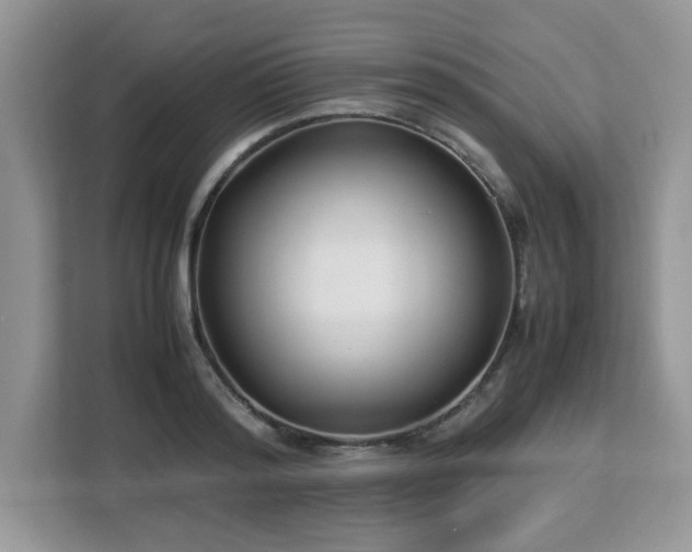 X0000113110796200908281408