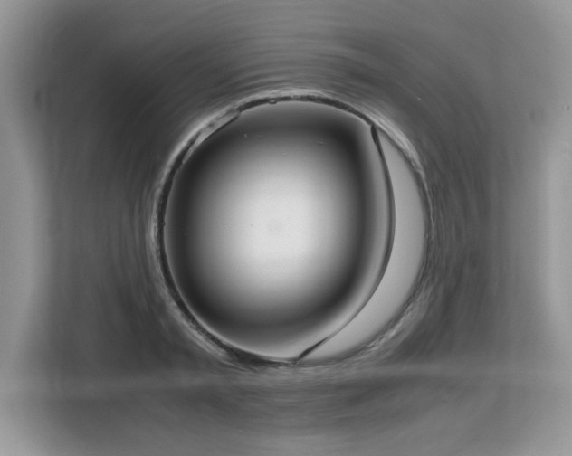 X0000113110797200908281407