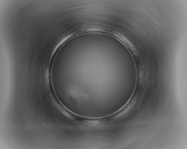 X0000113110798200908281407