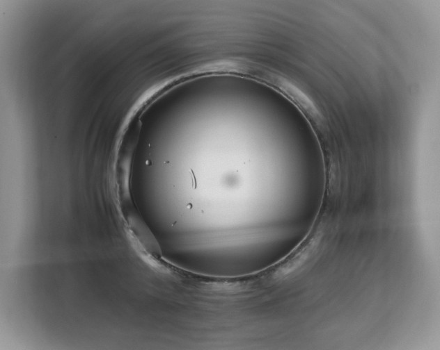 X0000113110800200908281407