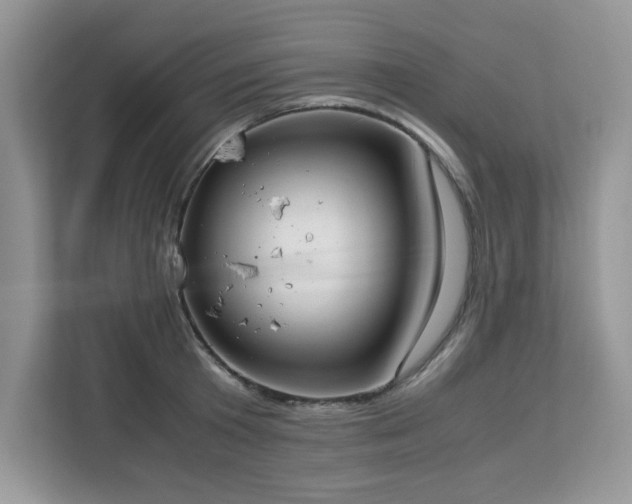 X0000113110801200908281407