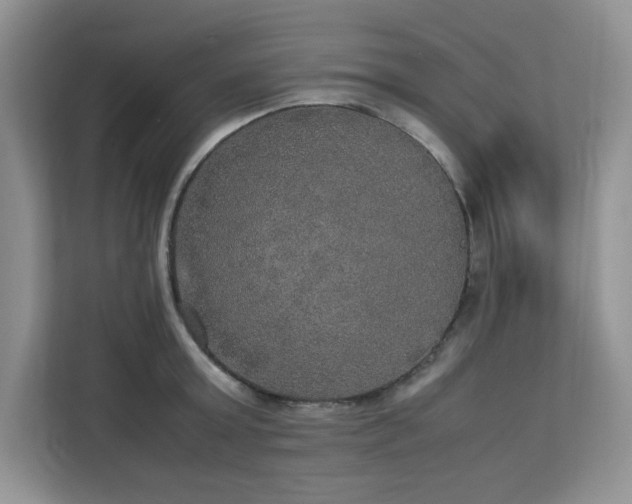 X0000113110803200908281407
