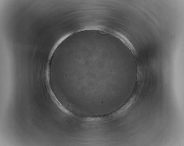 X0000113110804200908281407