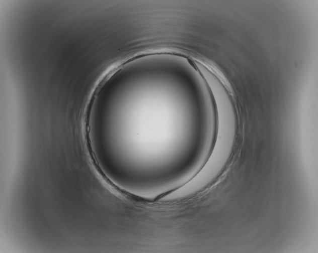X0000113110805200908281407